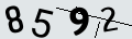 verifycode